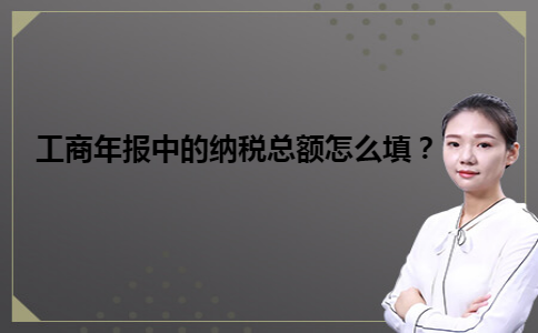 工商年报中的纳税总额怎么填？